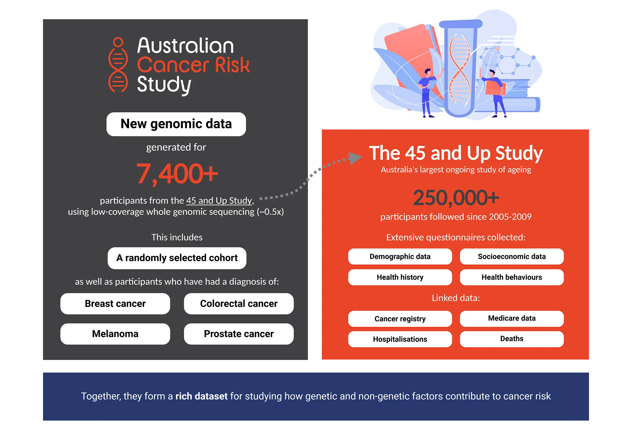 Australian Cancer Risk Study Figure 1